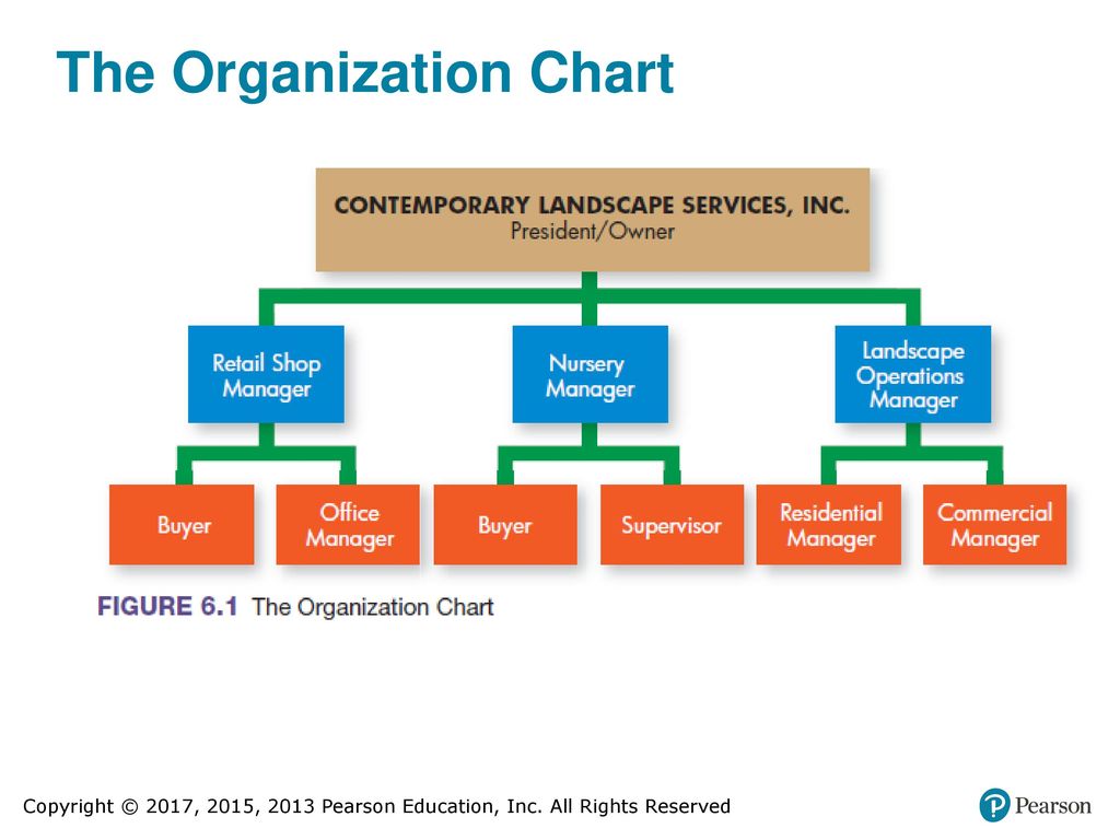 levi strauss organizational structure