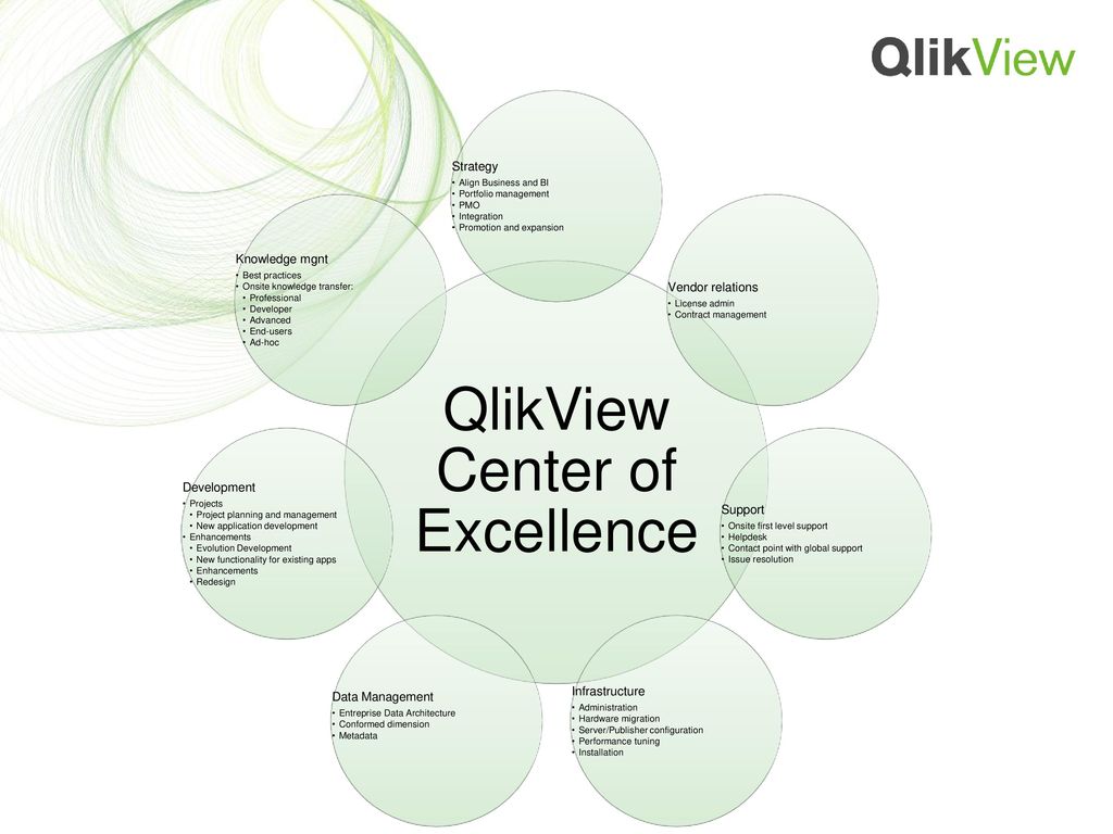 QlikView Center of Excellence