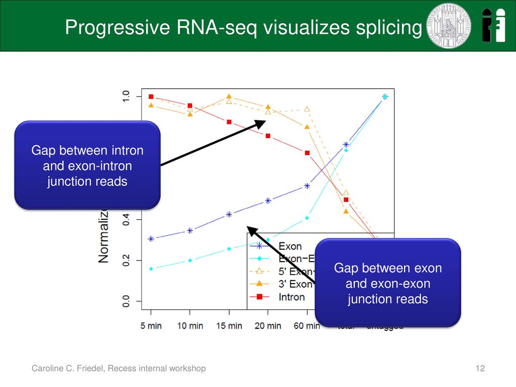 Progressive RNA-seq visualizes splicing