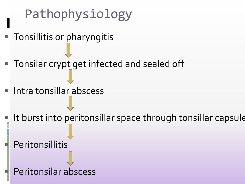 Pathophysiology tonsillitis or pharyngitis jpg 1024x768 Peritonsillar abscess contagious