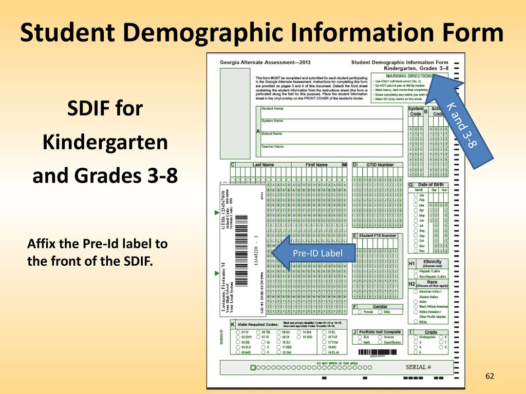 Student Demographic Information Form