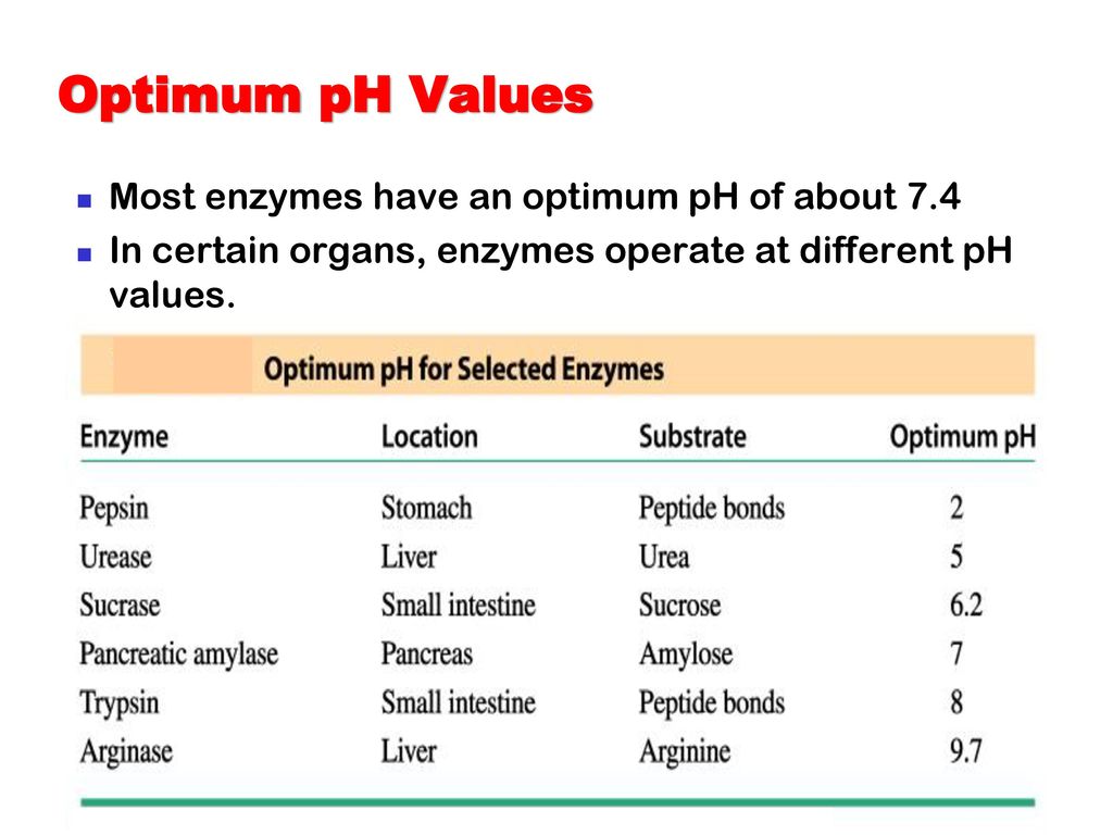 What Is The Optimal Ph For Enzymes
