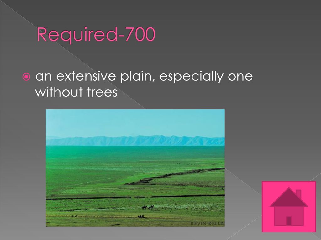 Required-700 an extensive plain, especially one without trees