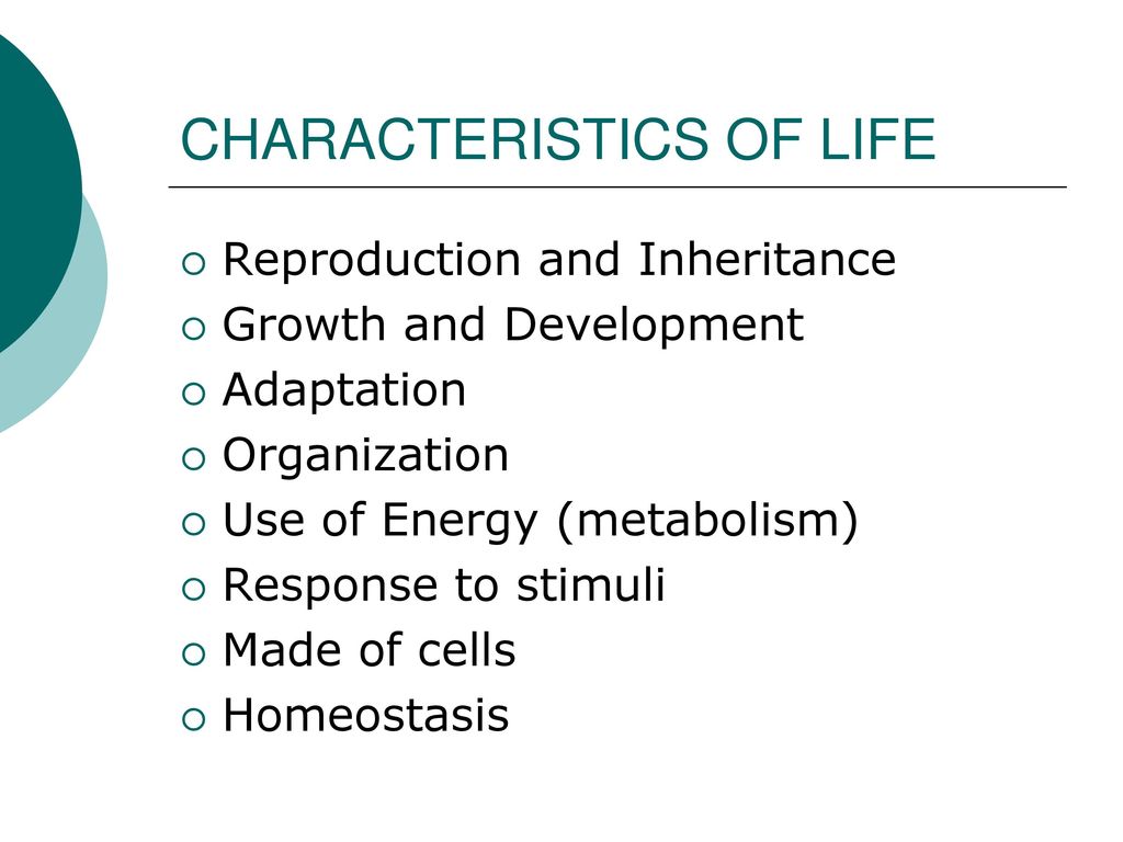 The Characteristics Of Life Ppt Download