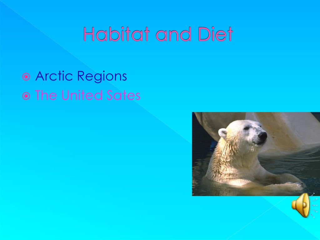 Habitat and Diet Arctic Regions The United Sates