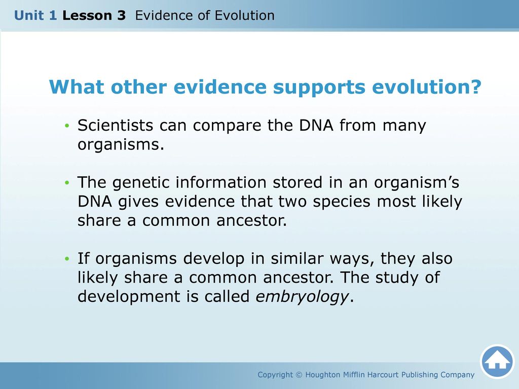 What other evidence supports evolution