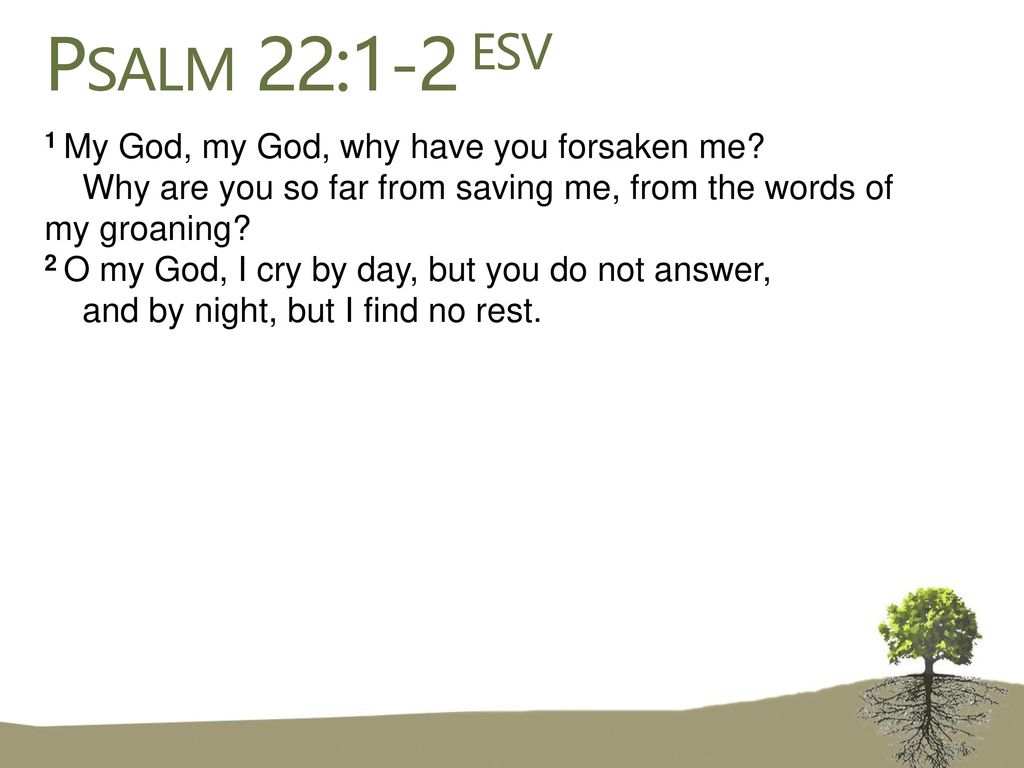 Psalm 22:1-2 ESV 1 My God, my God, why have you forsaken me? Why are you so  far from saving me, from the words of my groaning? 2 O my God, I