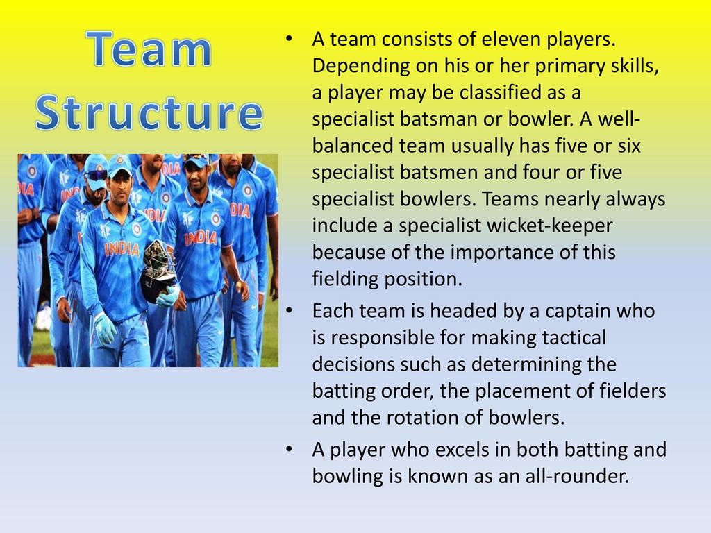 Team Structure