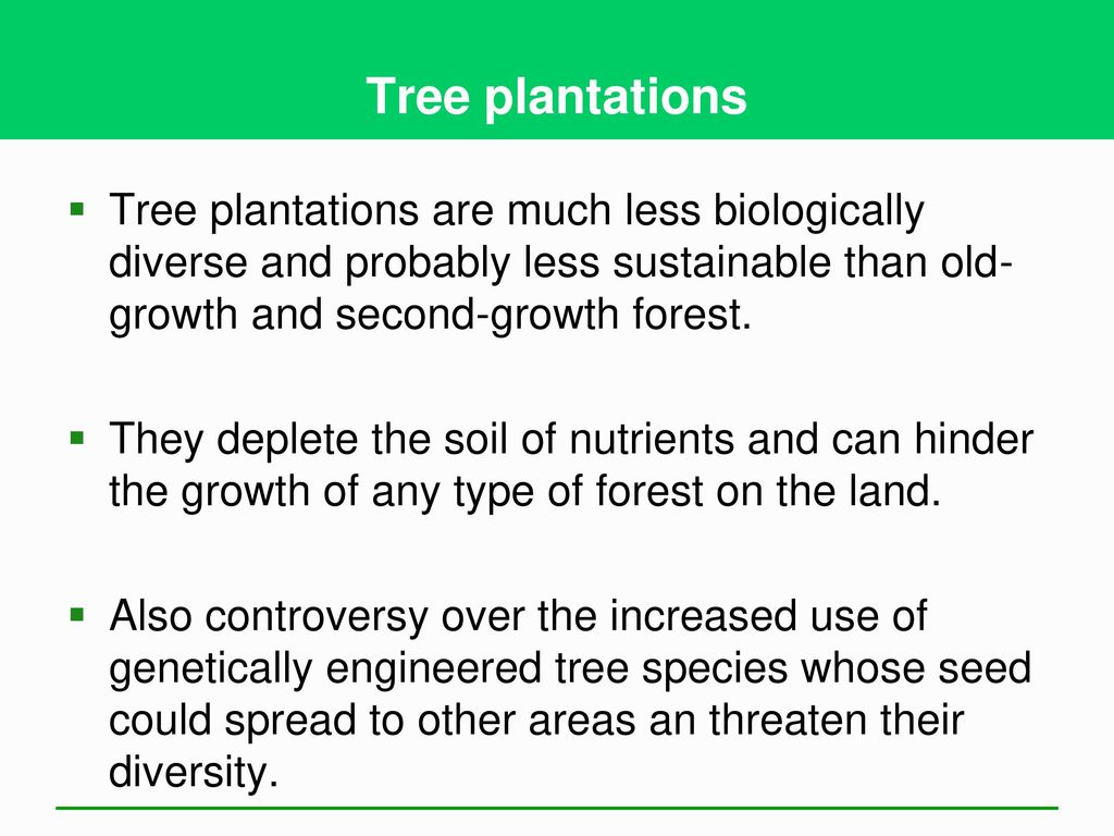 Tree plantations Tree plantations are much less biologically diverse and probably less sustainable than old-growth and second-growth forest.