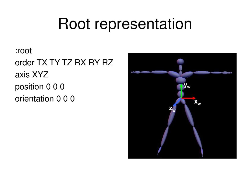 Root representation :root order TX TY TZ RX RY RZ axis XYZ