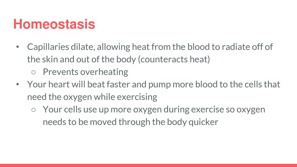 Homeostasis Capillaries dilate, allowing heat from the blood to radiate off of the skin and out of the body (counteracts heat)