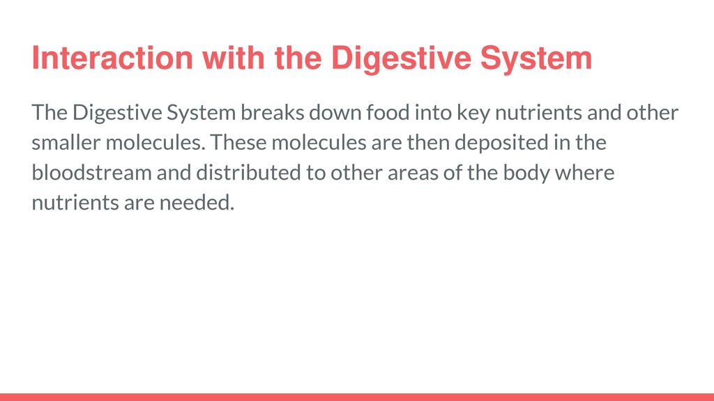 Interaction with the Digestive System