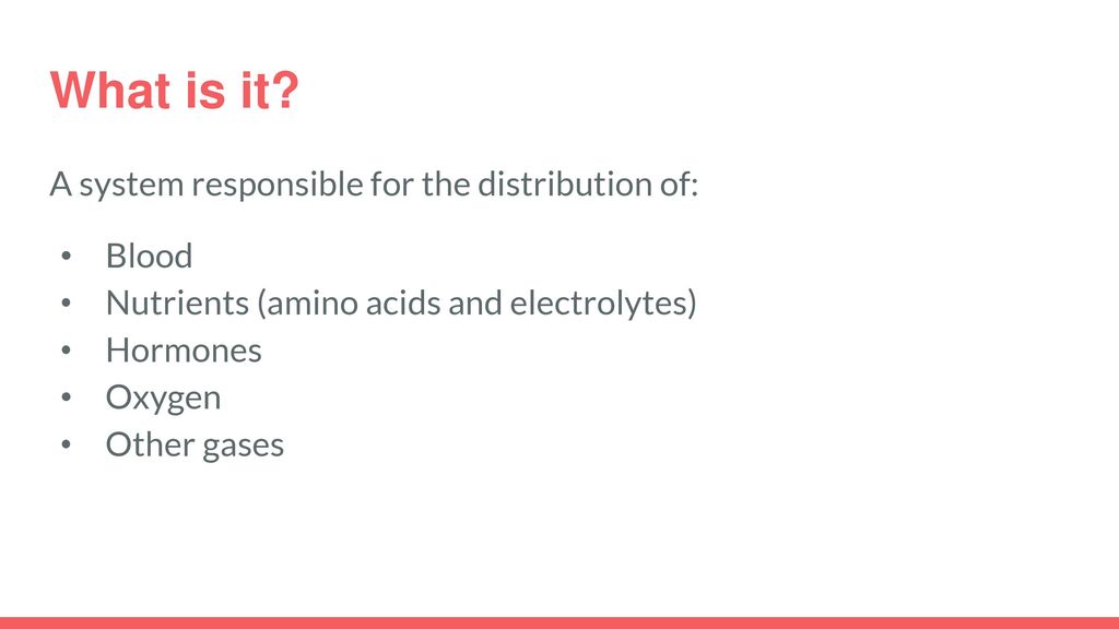 What is it A system responsible for the distribution of: Blood