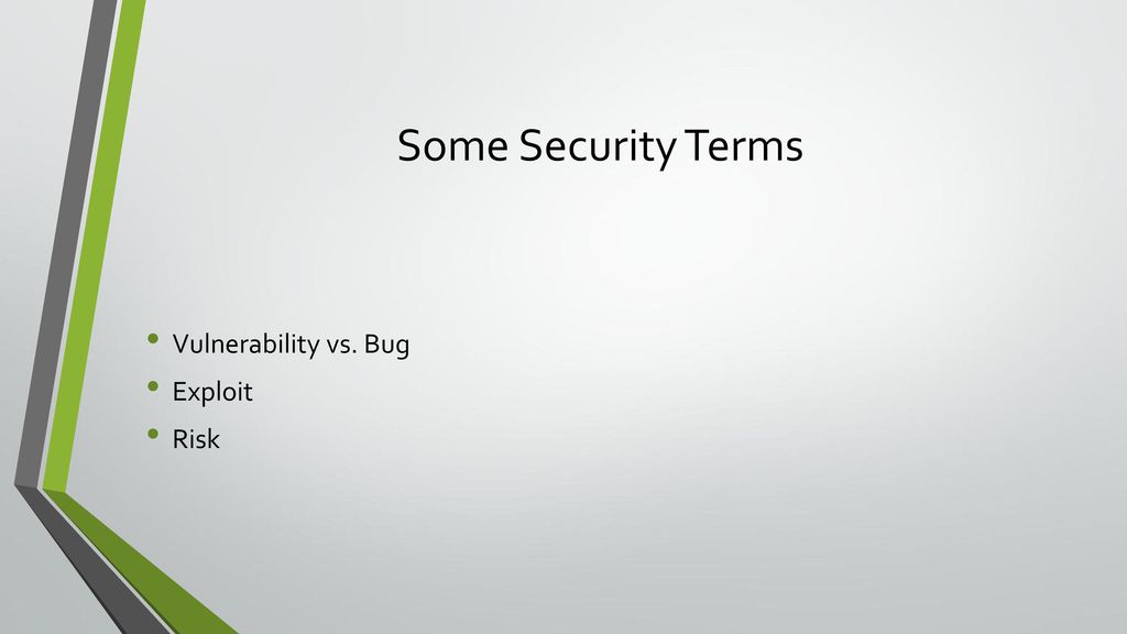 Some Security Terms Vulnerability vs. Bug Exploit Risk
