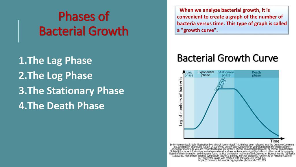 Midterm Ii Study Guide Microbiology. - Ppt Download