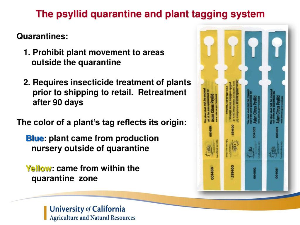 The psyllid quarantine and plant tagging system