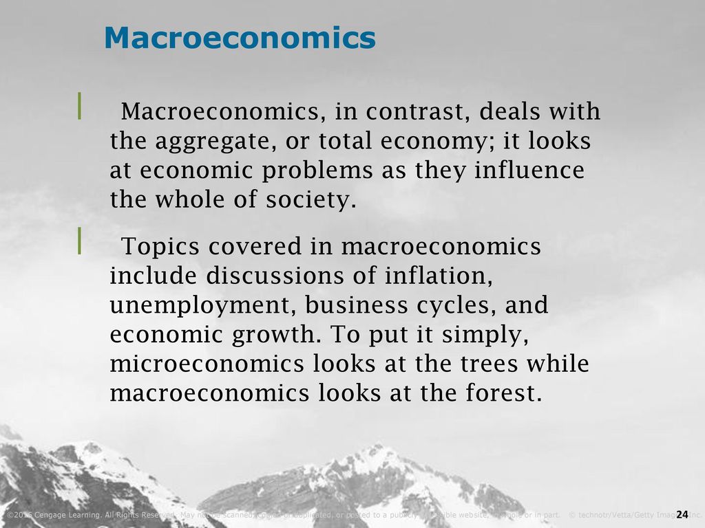 macroeconomics looks at the whole economy
