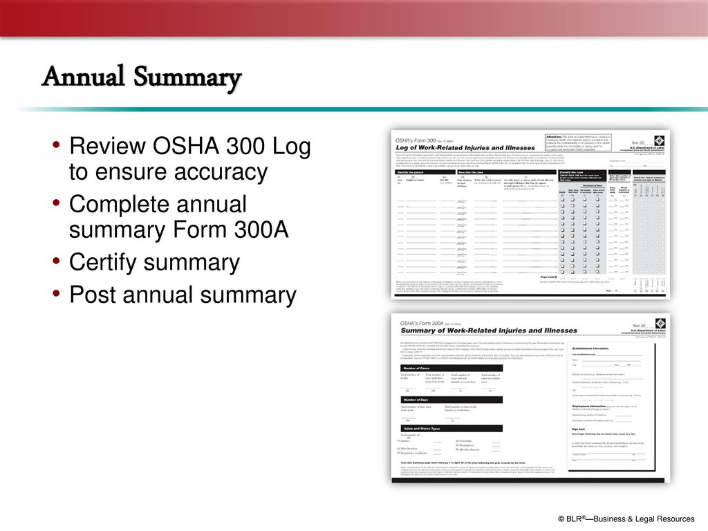 Annual Summary Review OSHA 300 Log to ensure accuracy