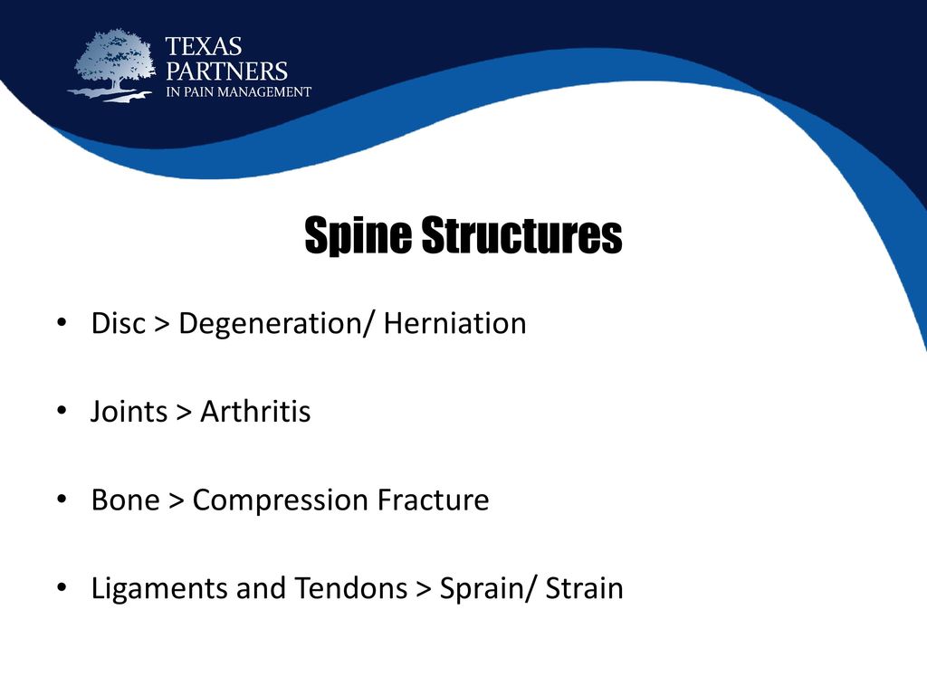 Chiropractic & Pain Case Studies - Ppt Download