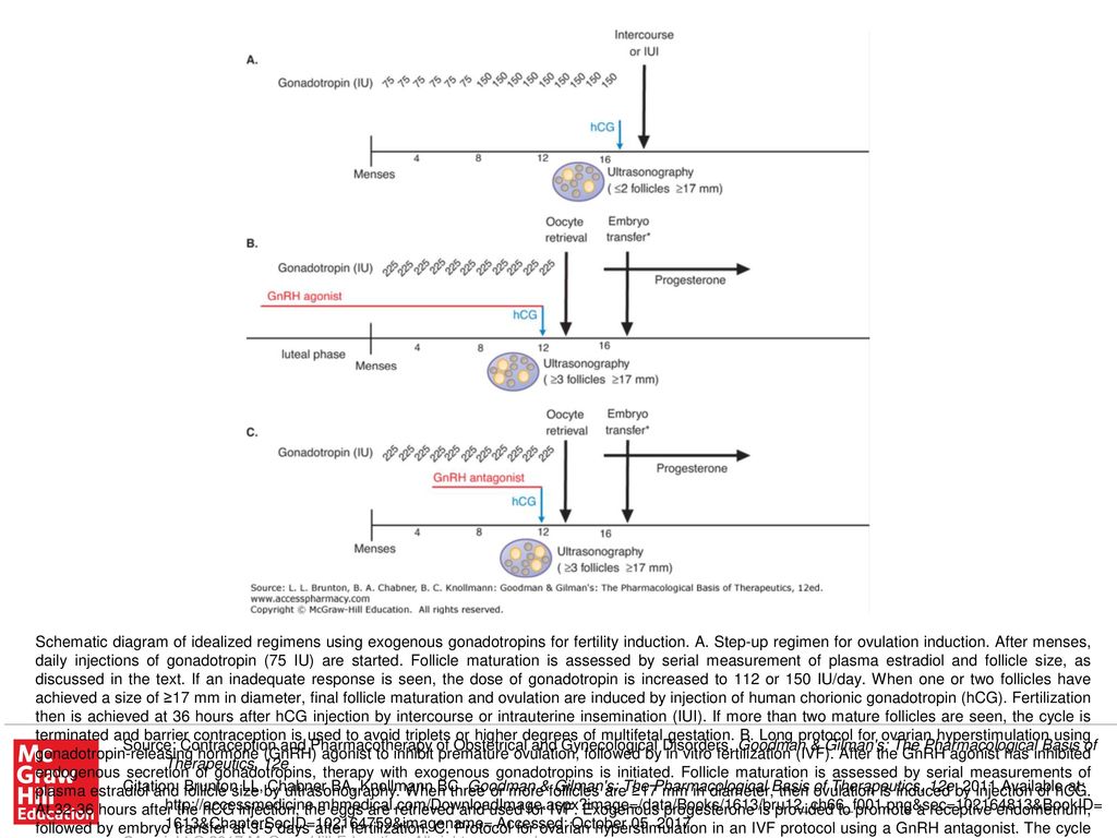 Schematic Diagram Of Idealized Regimens Using Exogenous