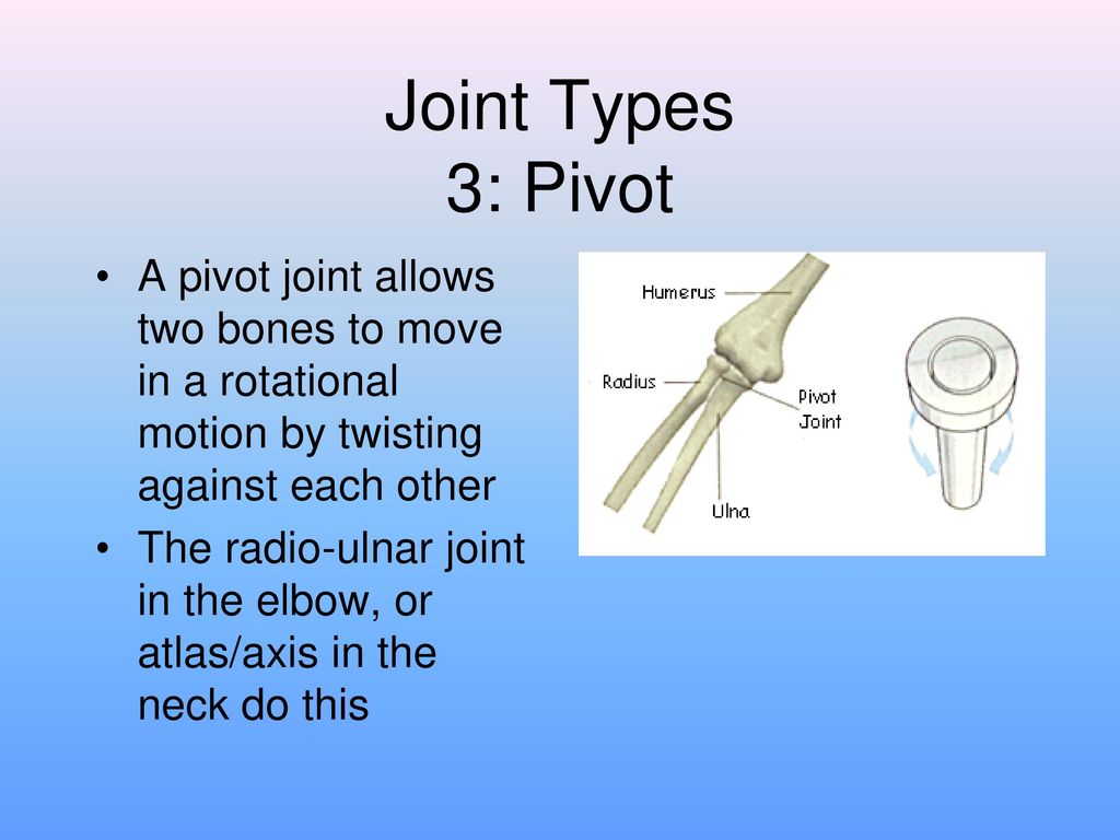 Allow joining. Pivot Joint. Pivot in Joint. Pivot Joint Design. Pivot Joint where.