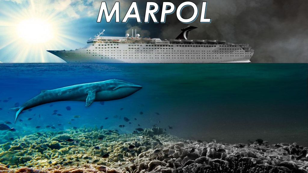 Image result for marpol