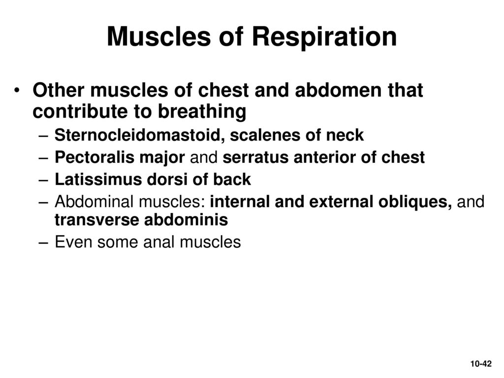 Chapter 10 Lecture Outline - ppt download