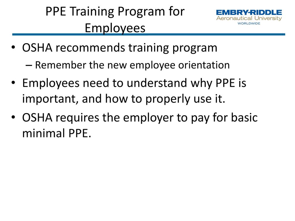 PPE Training Program for Employees