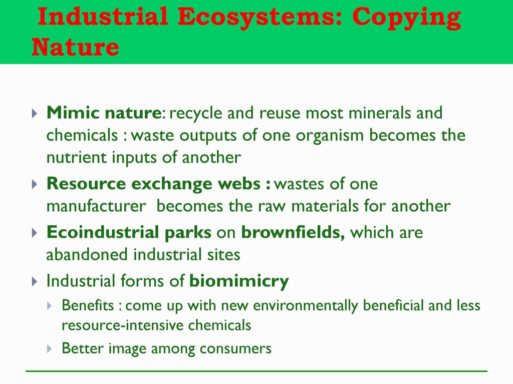 Industrial Ecosystems: Copying Nature