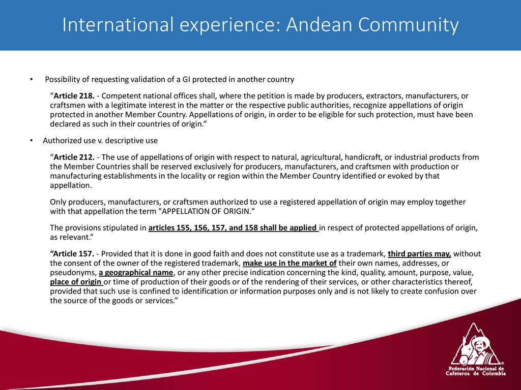 International experience: Andean Community