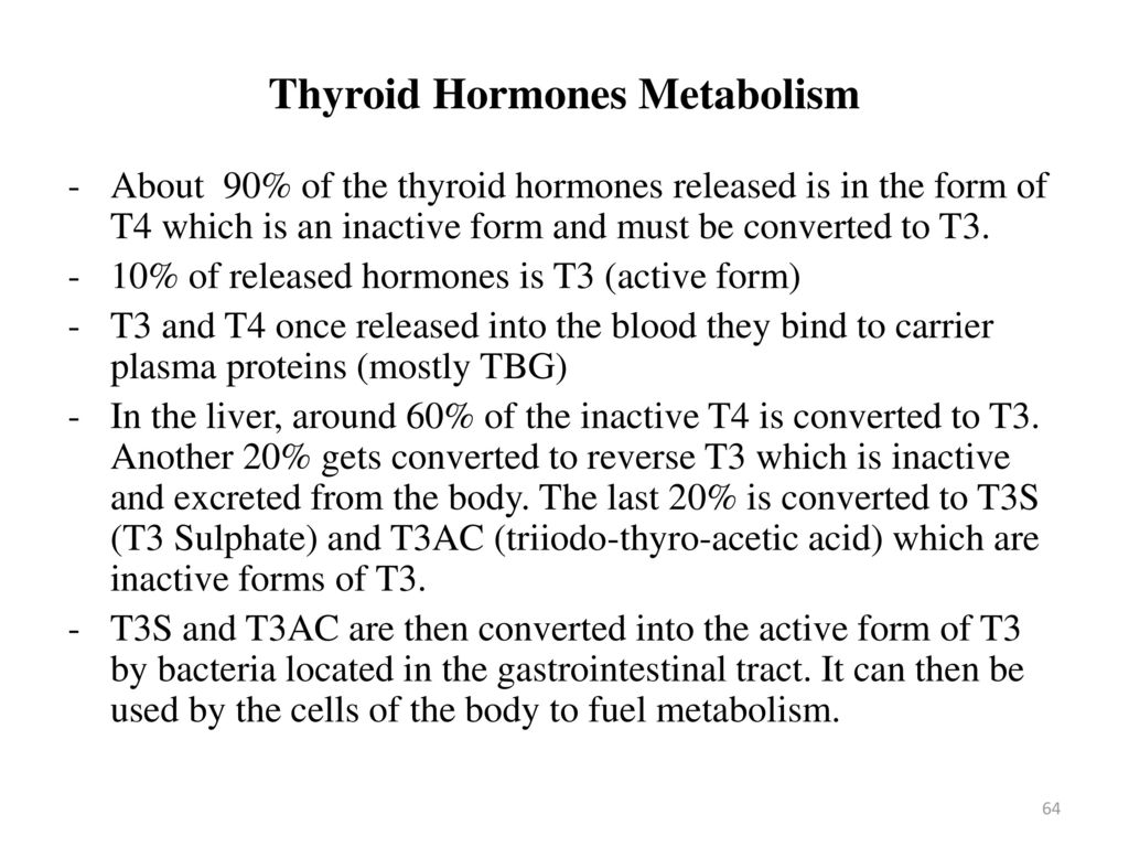 Endocrine System Physiology - ppt download