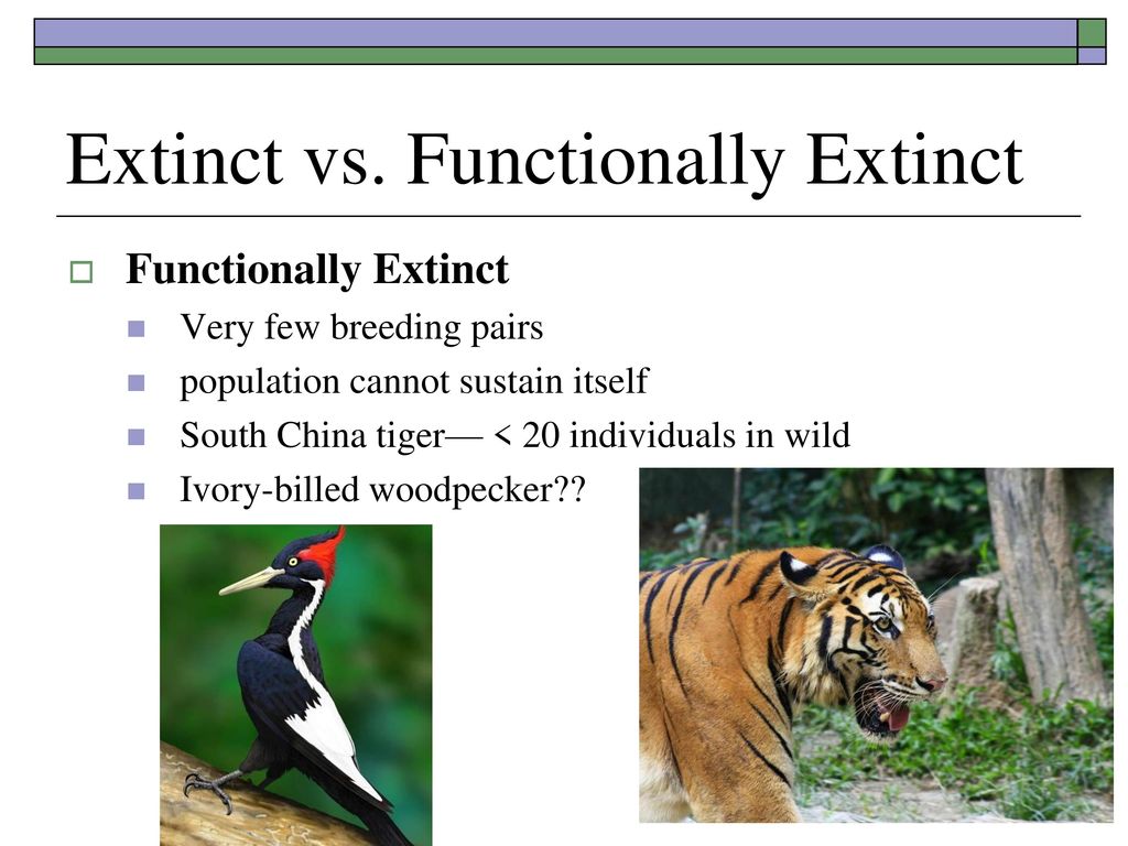 If you missed the test ppt download