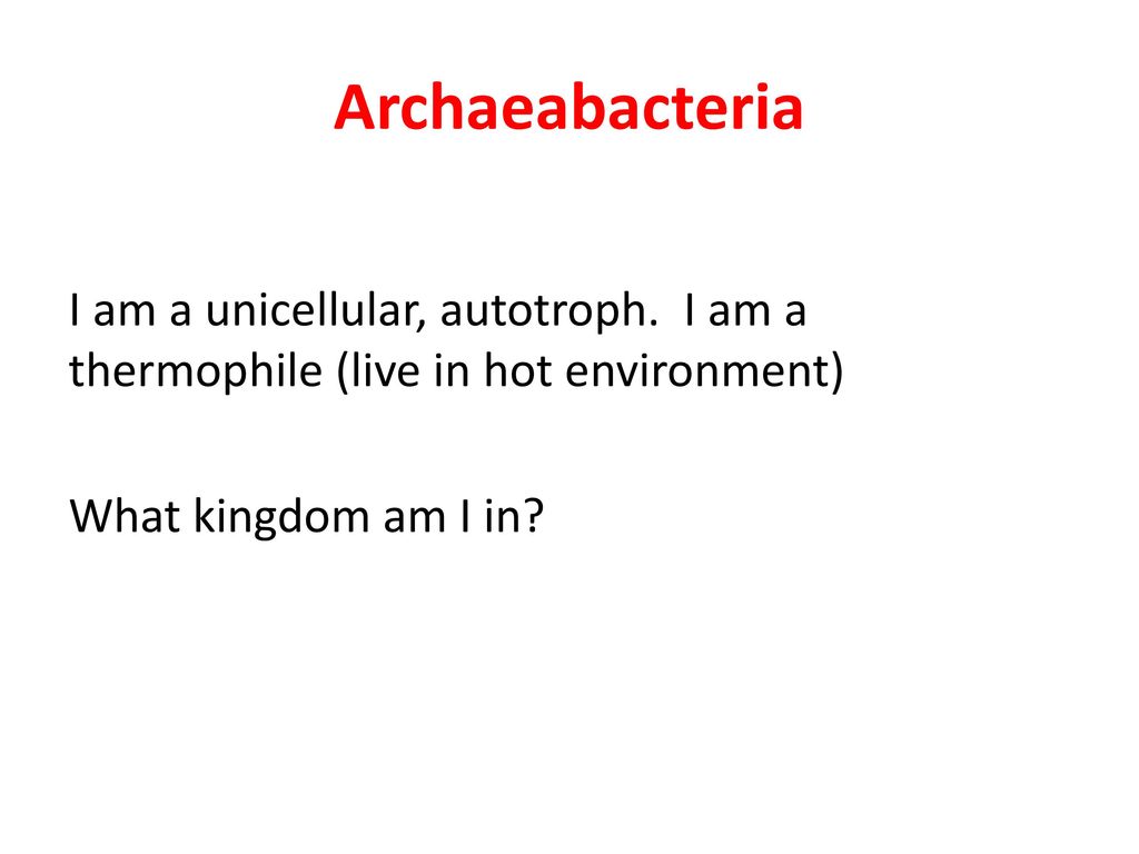 Archaeabacteria I am a unicellular, autotroph.