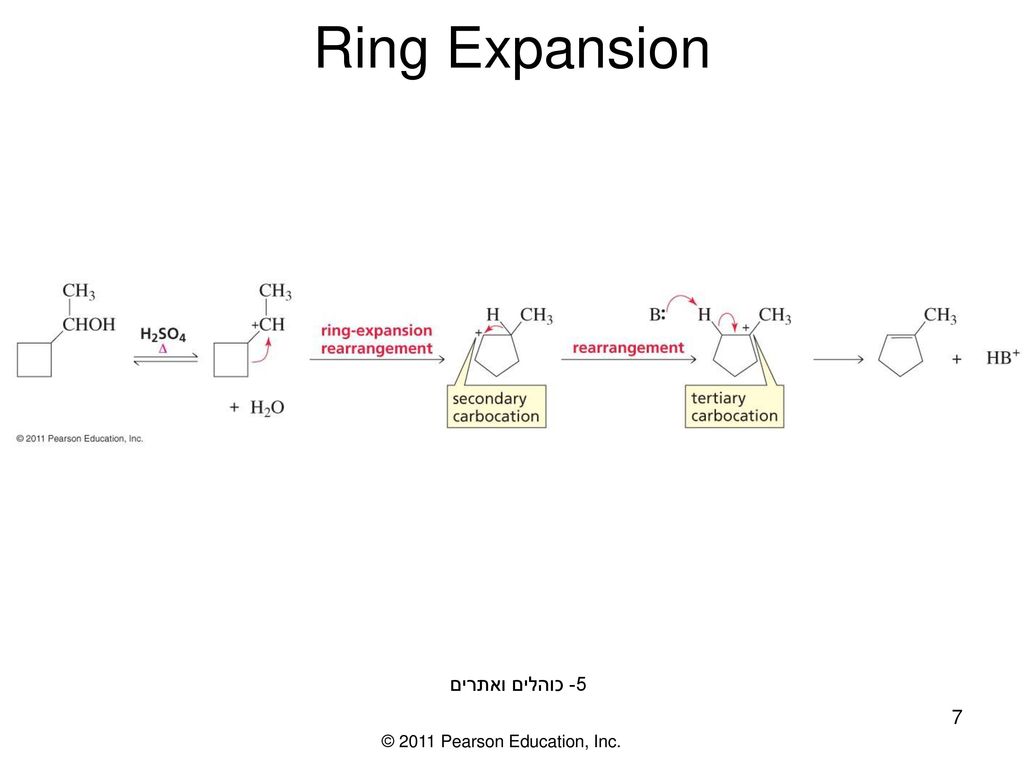 Diastereoselective Synthesis of Spiro[indoline‐3,7′‐pyrrolo[1,2‐a]azepines]  via Sequential [3+2] Cycloaddition and Ring Expansion Reaction - Wu - 2020  - Asian Journal of Organic Chemistry - Wiley Online Library