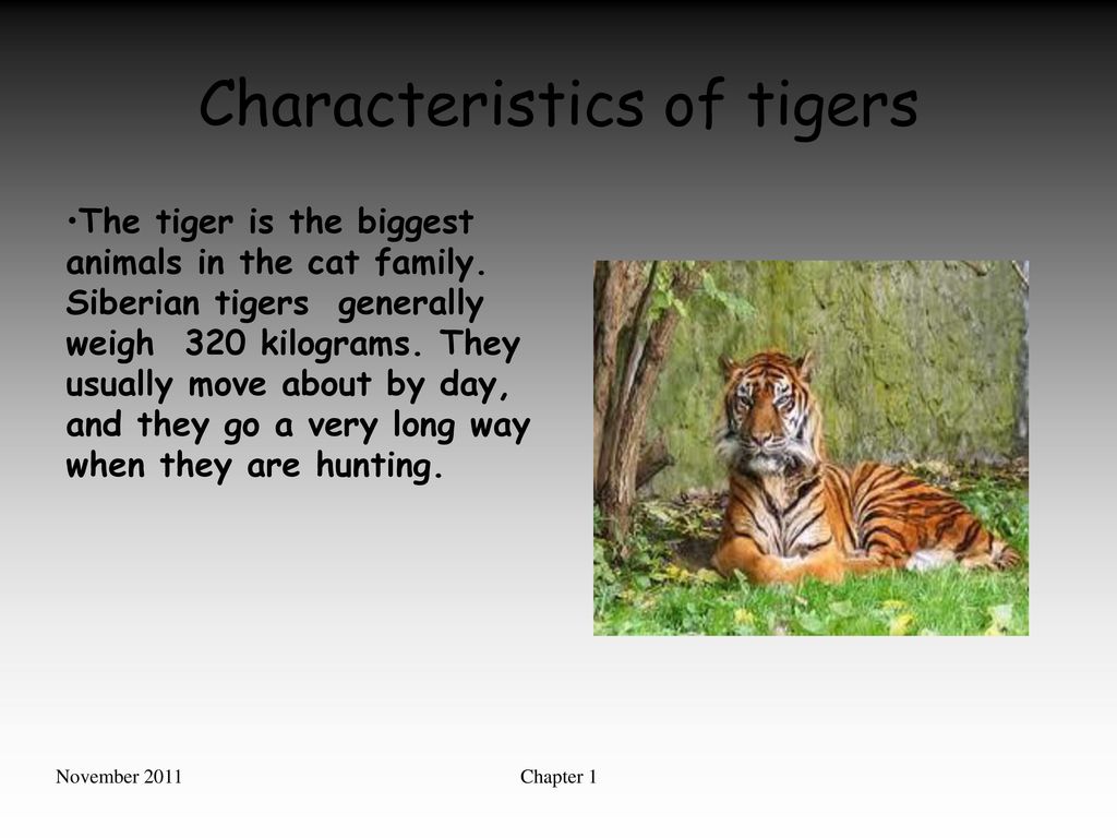 Animals in danger” (Chapter 1) - ppt download Animals in danger” (Chapter 1) - ppt download