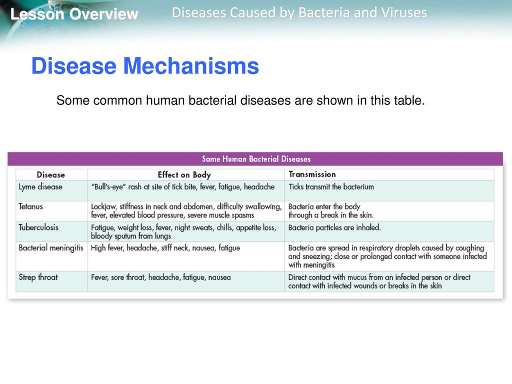 human diseases caused by bacteria