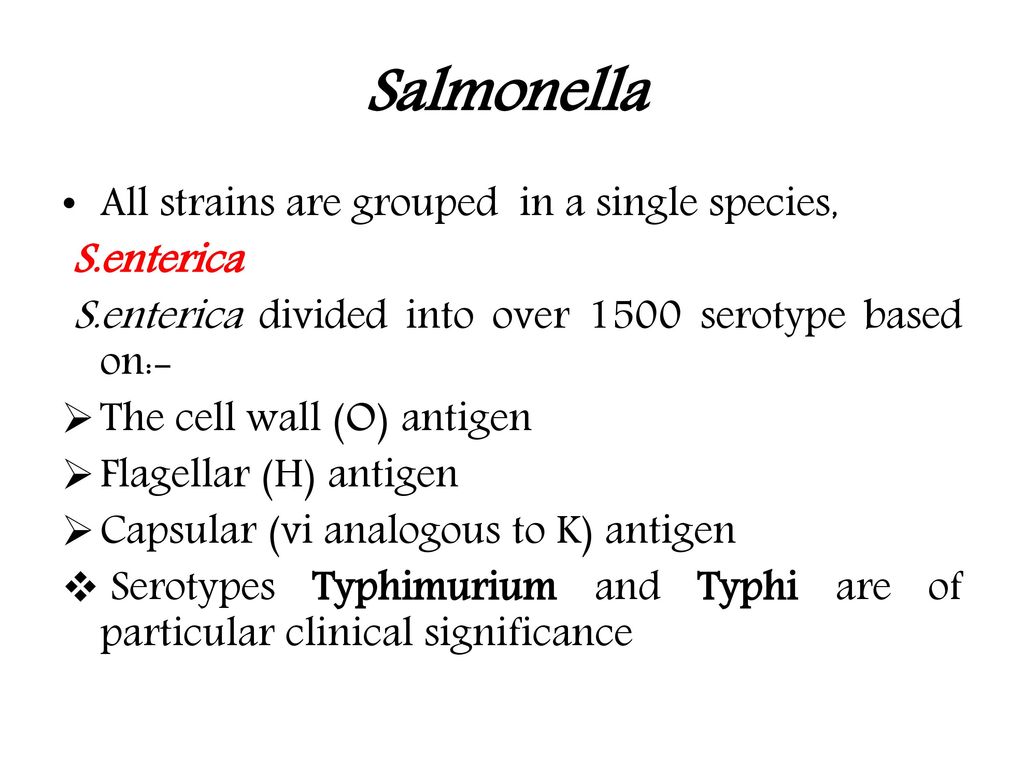 Salmonella All strains are grouped in a single species, S.enterica