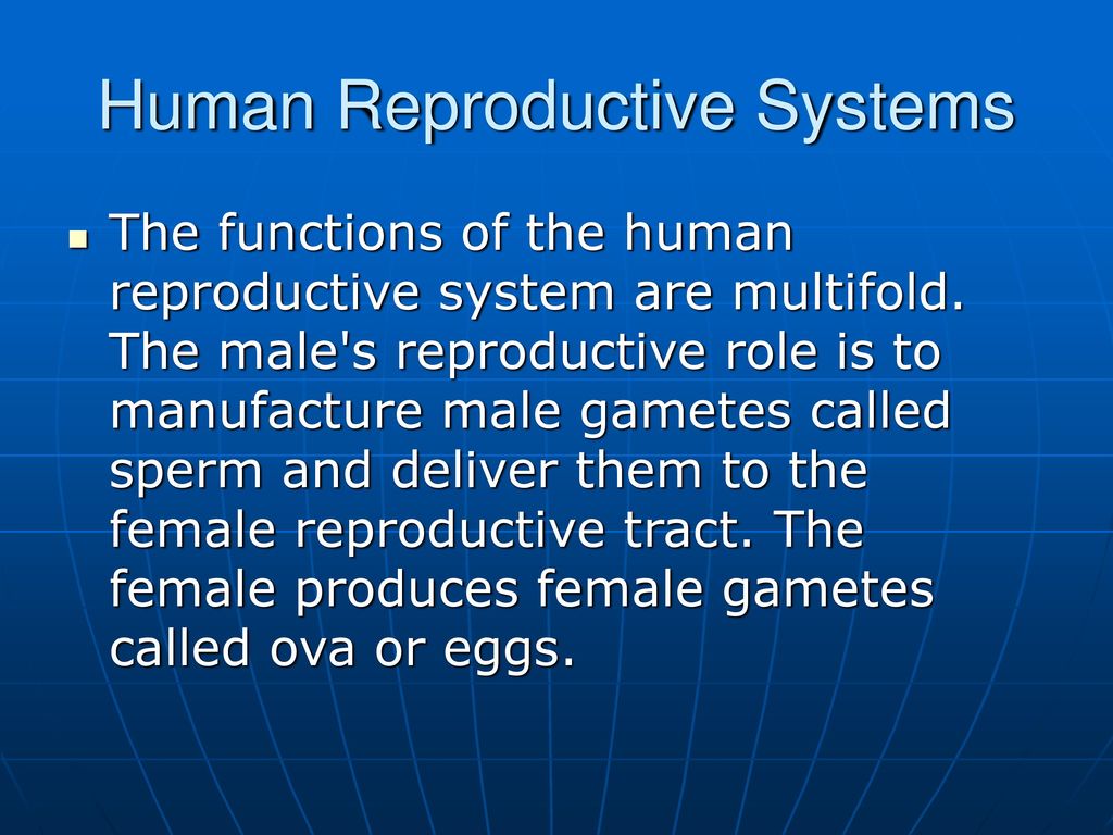 Human Reproductive Systems - Ppt Download