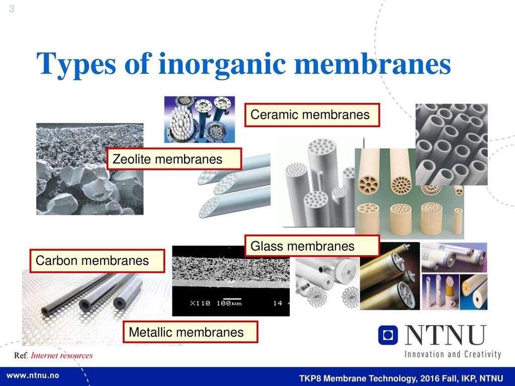 Preparation Of Synthetic Membranes Ppt Download