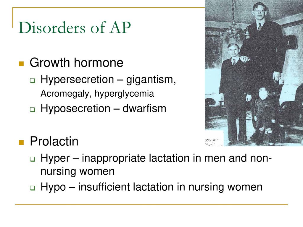 Endocrine Organs And Disorders Ppt Download