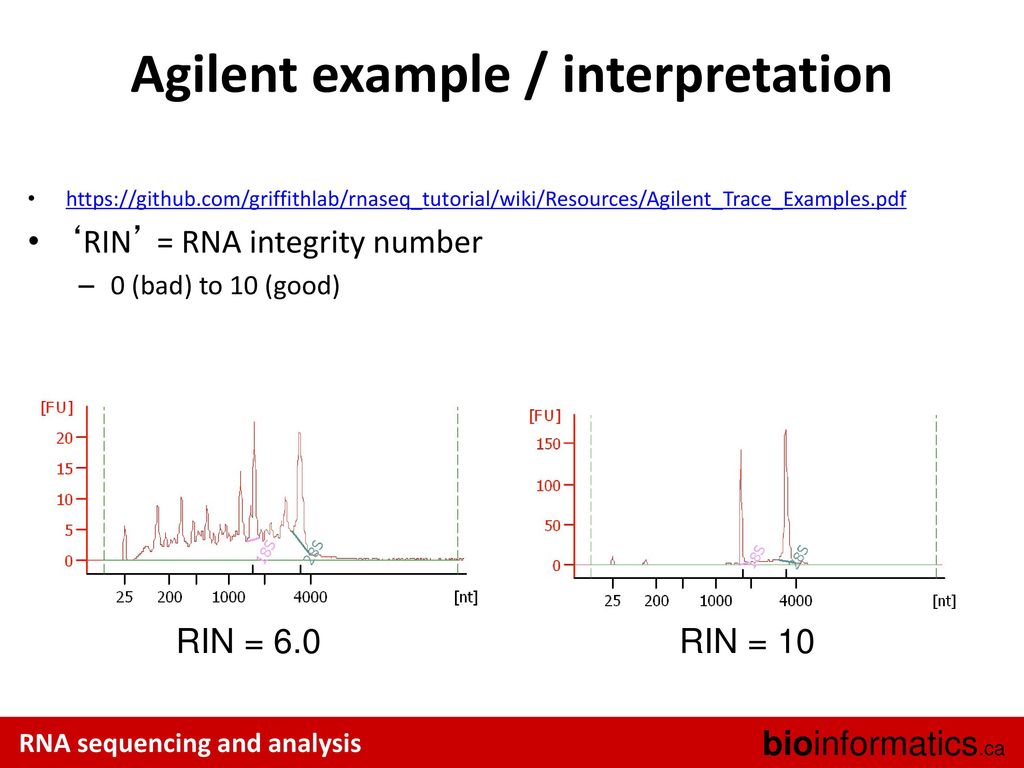 Canadian bioinformatics workshops ppt download