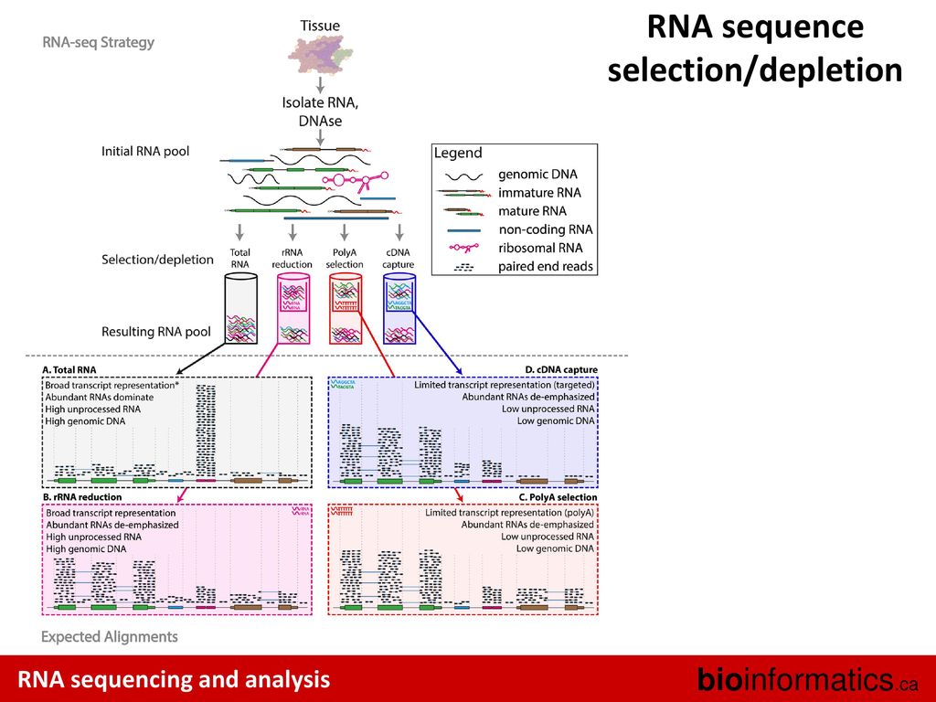 Canadian bioinformatics workshops ppt download