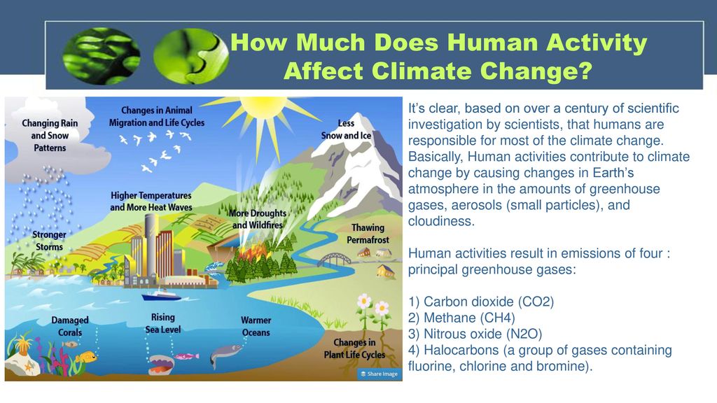 Climate Change Affects on California - ppt download