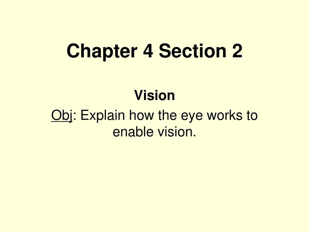 Vision Obj: Explain how the eye works to enable vision.