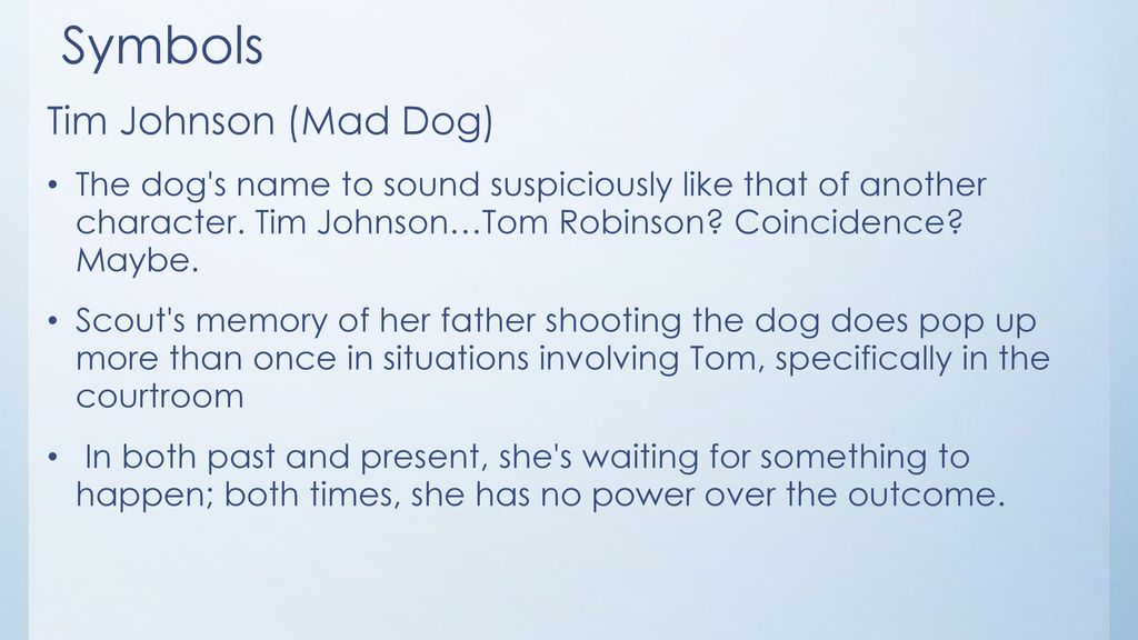 what does tim johnson the mad dog represent