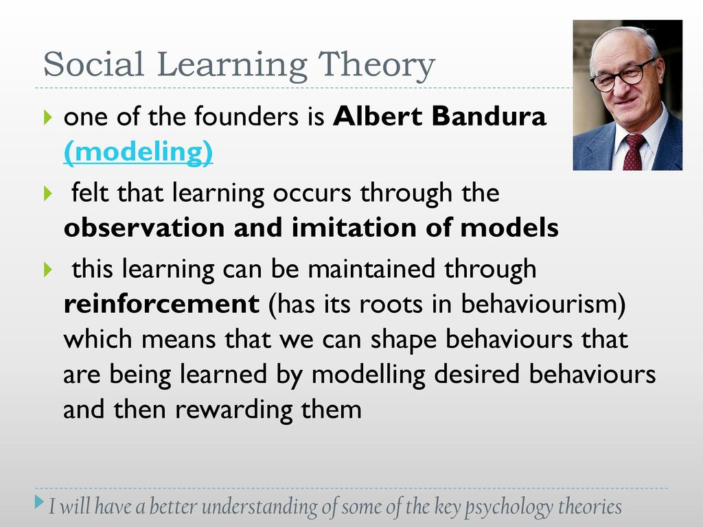 Theories: Explaining Human Behaviour - ppt download