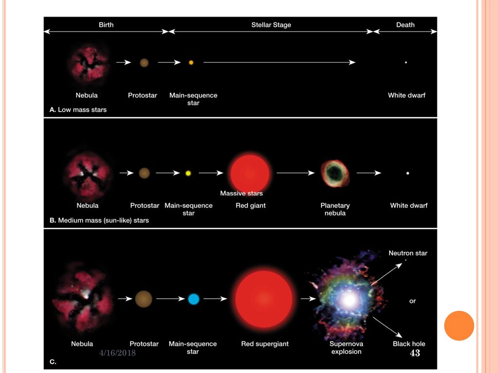 Эволюция звезд астрономия 11. Жизненный цикл звезды. Последовательность эволюции звезд. Схема эволюции звезд. Эволюция звезд астрономия.