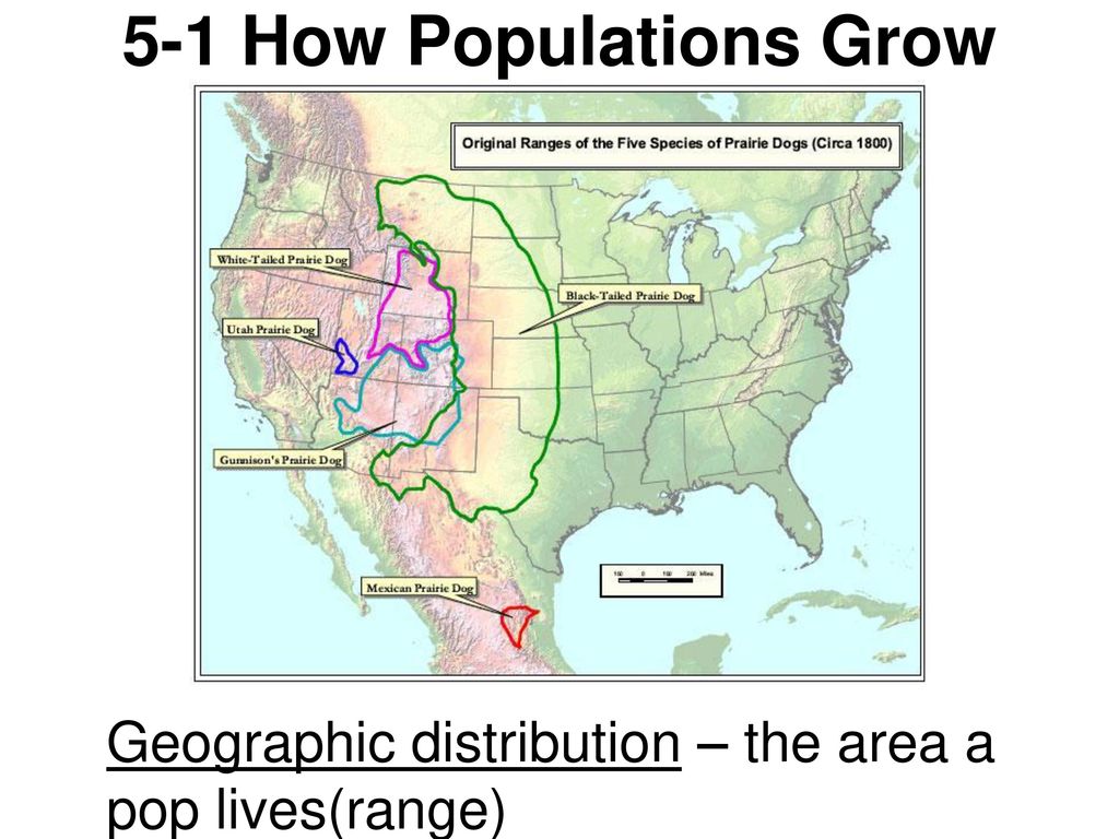 5-1 How Populations Grow Geographic distribution – the area a pop lives(range)