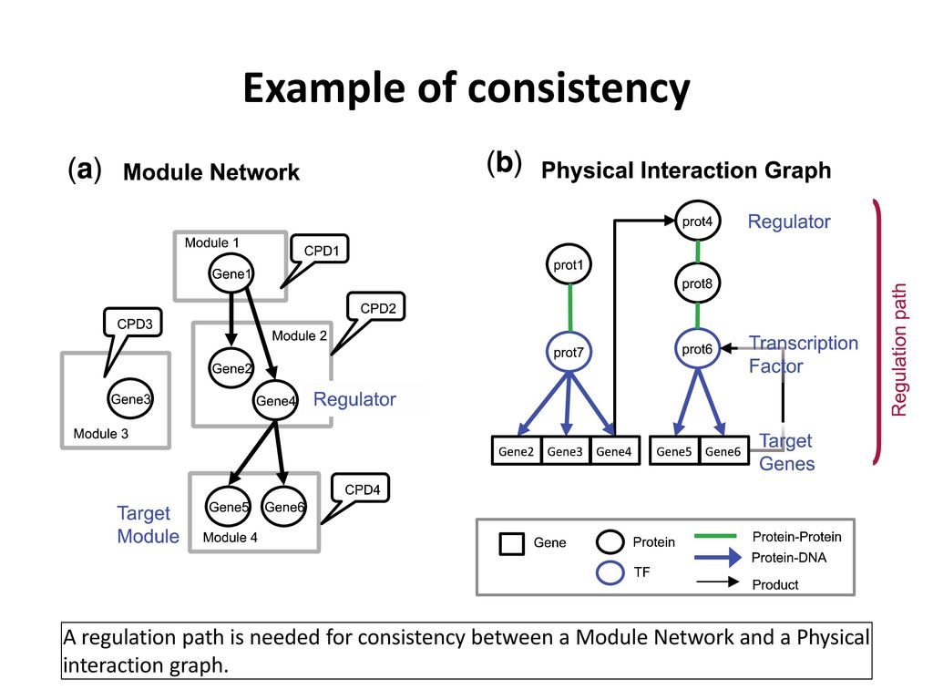 Constrained graph structure learning by integrating diverse data types ...