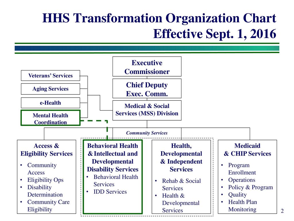 Community Mental Health Organizational Chart